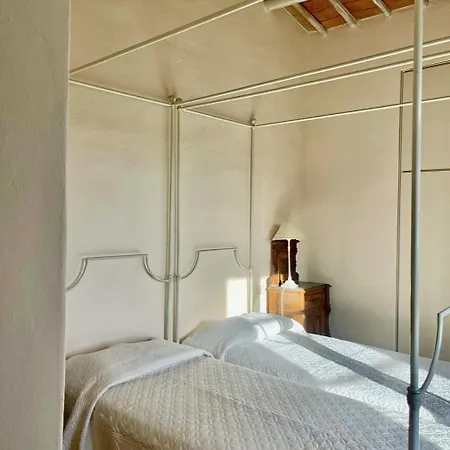 Poderevicobasso فيلة